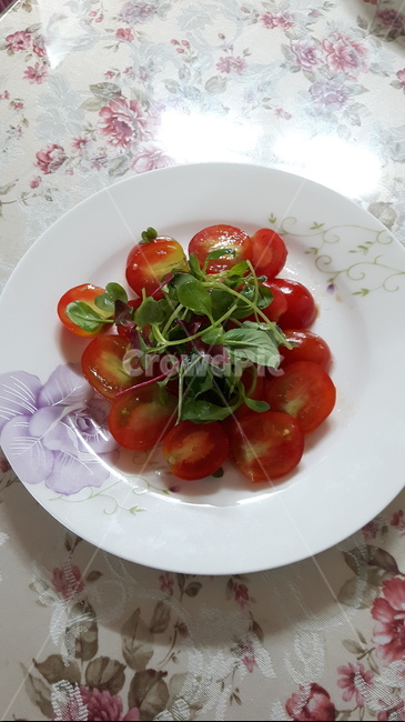 토마토,방울토마토,디저트,에피타이저,샐러드,음식,식재료,요리,food,cook,meal,dishes,food reserves,채소,야채,vegetables