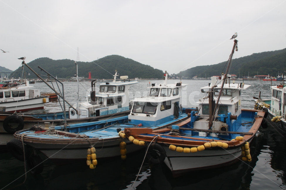 바다,배,갈매기,섬,항구,통영,한국,sea,ship,vessel,seagull,island,port,harbor,tongyeong,korea,산업,industry,industrial,어업,fishery,fishing industry,교통,교통수단,traffic,transportation,water,물,vehicle,차량,watercraft,선박,waterfront,워터 프론트,boat,보트,포트,pier,교각
