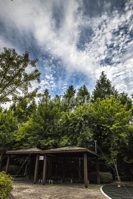 여름날씨,맑은하늘,가을하늘,풍경,landscape,bluesky,구름,숲,파란하늘,푸른하늘,cloud,자연,풍경,nature,landscape,outdoors,옥외,building,건물