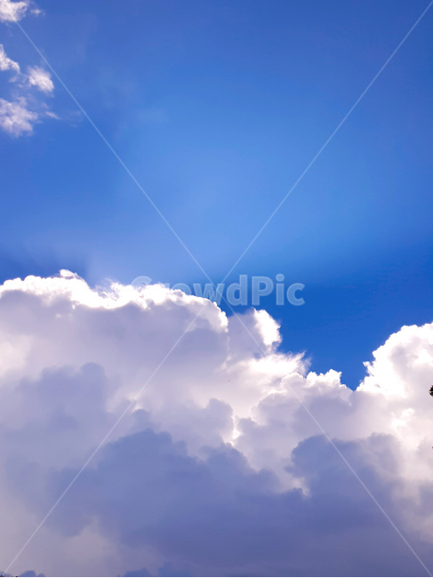 하늘,구름,여름,풍경,빛,흰구름,자연,풍경,nature,landscape,outdoors,옥외,azure sky,푸른 하늘,sky