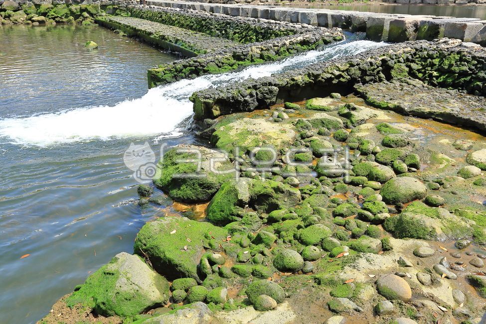 sea water,stone wall,Moss,algae,Birds,slope,water,wave,rock,dam,stepping stones,plant,stonewall,bubbles,fresh water,Handrail,wall