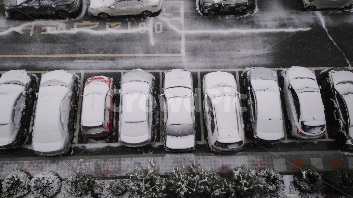 눈,3월눈,봄눈,눈풍경,주차장,겨울,계절,winter,season,교통,교통수단,traffic,transportation,automobile,자동차,vehicle,차량,car,차