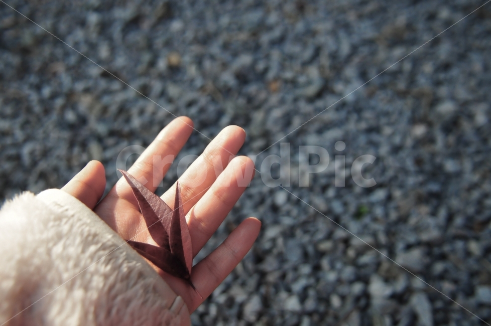 손바닥,나뭇잎,감성사진,감성,가을,가을,계절,fall,autumn,season,사람,인물,인간,human,person,감성,sensible,feeling,finger,손가락