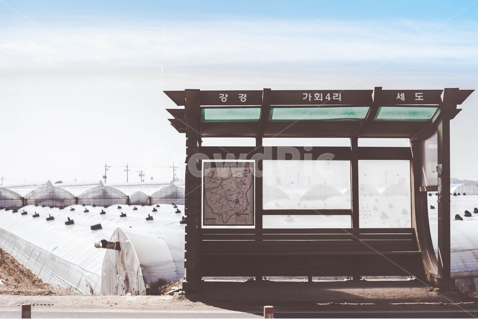 버스정류장,시골버스,비닐하우스,koreacountry,busstation,겨울,계절,winter,season,감성,sensible,feeling,교통,교통수단,traffic,transportation