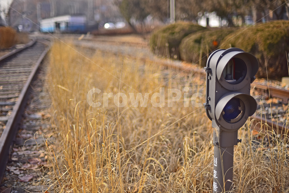 train track,traintrack,road,railway,train,traffic,old,parallel lines,rail,metal,tree,hollow,flatiron,sleeper,vintage,background,public transport,line,cracked,vehicle,rust,trace,perspective,Traffic Light,guide light,railroad,desolation,cross,retro,transpor