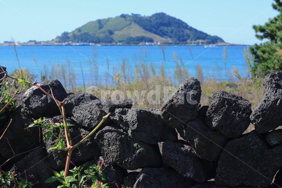 제주도,돌담,제주,바다,섬,outdoors,옥외,nature,자연,자연,풍경,nature,landscape,제주도,jeju,jeju island