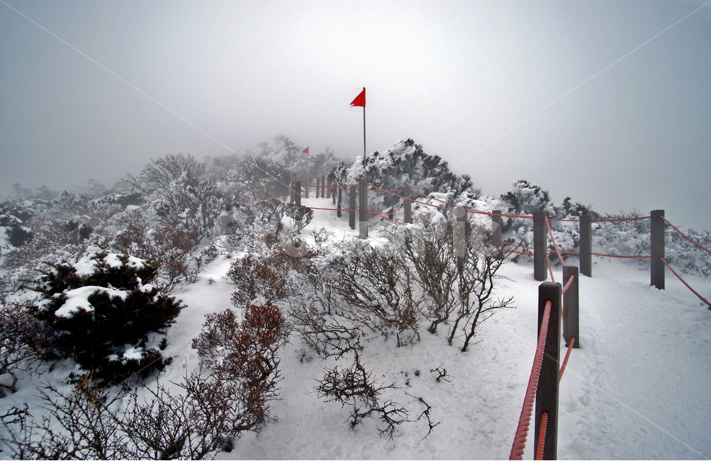 겨울산,한라산,설경,설산,한라산설경,겨울,탐방로,운무,안개,겨울,계절,winter,season