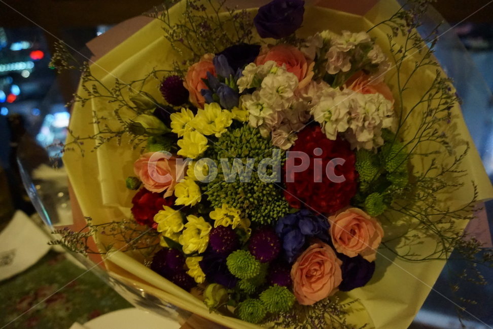 꽃,장미,선물,사랑,화이트데이,꽃,flower,기념일,축하,anniversary,congratulation,celebrate,celebration