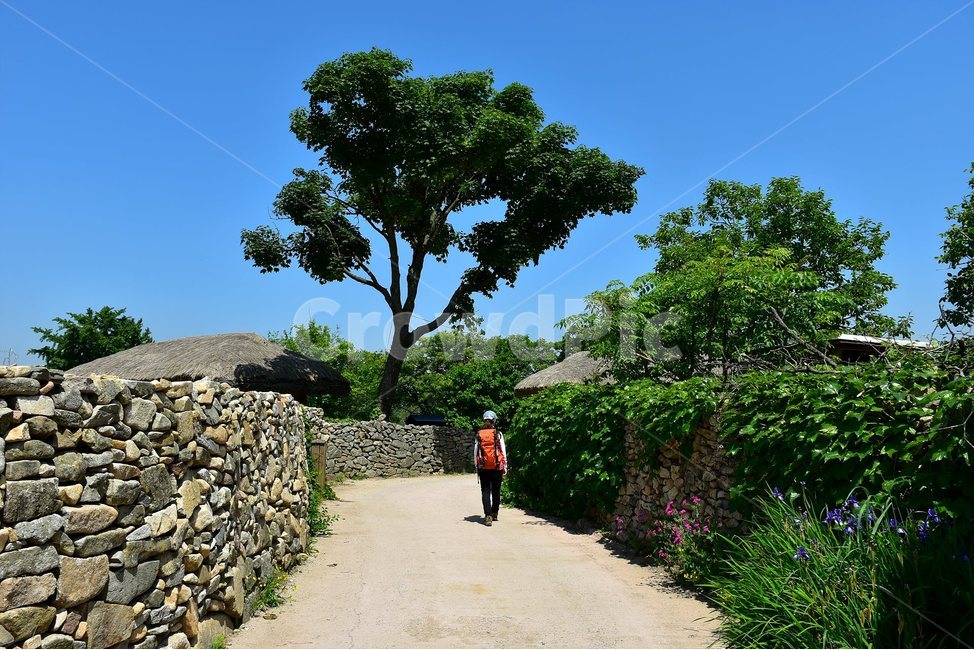 외암,민속,마을,풍경,힐링,landscape,돌담,한국전통,한국문화,korean traditional,korean culture,사람,인물,인간,human,person,여성,여자,woman,female,lady