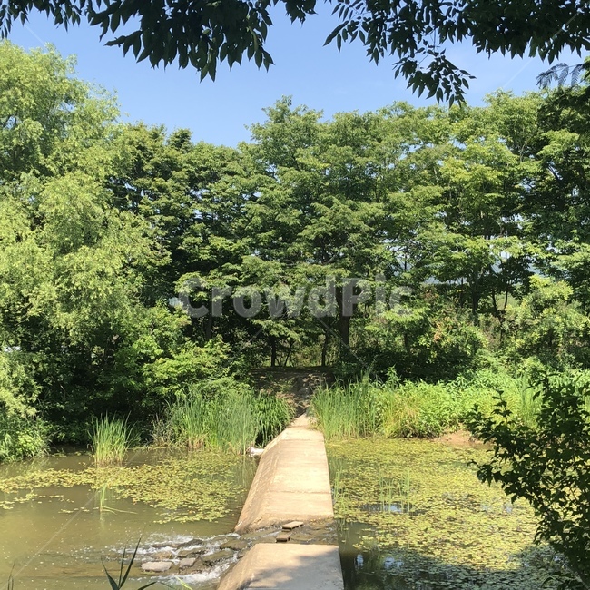 나무,강,자연,경주,풍경,하늘,여름,summer,tree,자연,풍경,nature,landscape,outdoors,옥외,water,물,land,땅
