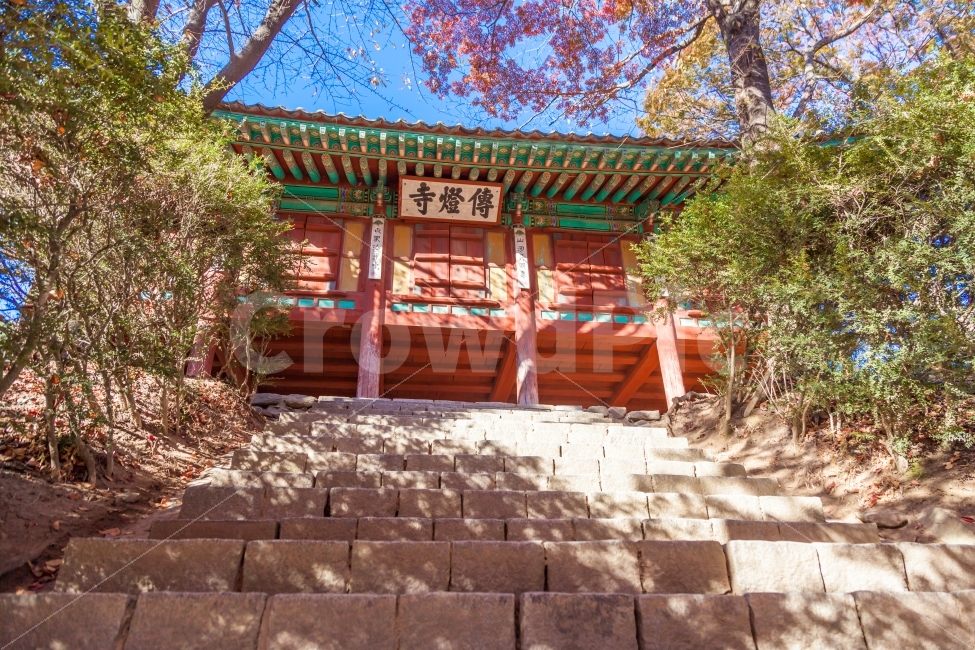 가을,단풍,사찰,절,강화,강화도,여행,계절,아름다움,계단,나무,temple,autumn,nature,asia,buddhism,architecture,fall,landscape,travel,colorful,park,garden,beautiful,background,tree,asian,leaf,orange,art,image,holiday,tower,가을,계절,fall,autumn,season,한국전통,한국문화,korean traditional,korean culture,종교,신앙,religion,belief,faith,patio,안마당,porch,현관