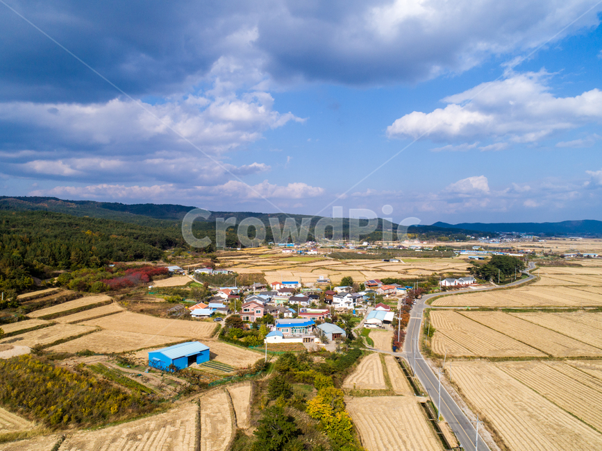 하늘,구름,단풍,논,추석,추수,가을,마을,시골,마을,풍경,landscape,country,rural,town