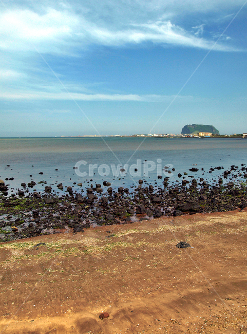 제주,올레1코스,자연,바다,종달리,성산일출봉,푸른하늘,해변,자연,풍경,nature,landscape,한국자연풍경,한국자연경관,korea nature landscape,제주도,jeju,jeju island,animal,동물,flock,대군