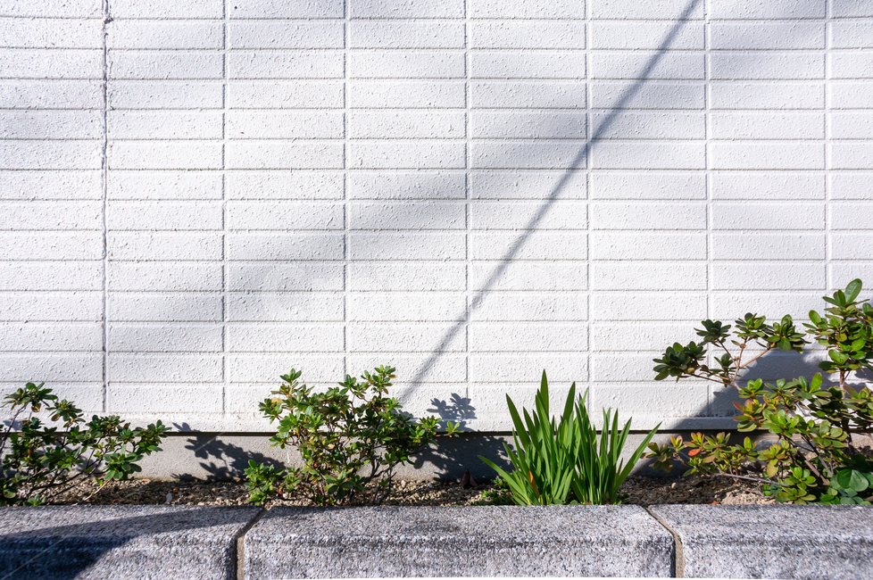 배경,디자인,소재,자연,패턴,텍스처,벽,흰색,식물,자연,plants,nature