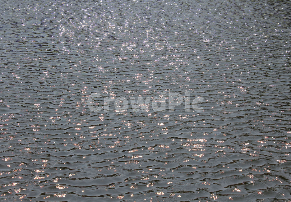 nature,자연,물,물비늘,반짝이는,감성,힐링,예쁜,일렁,물결,잔물결