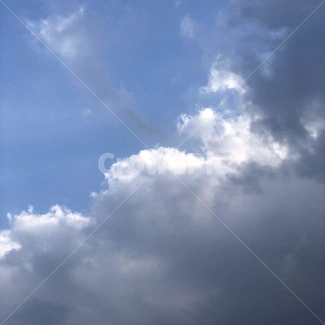 nature,자연,outdoors,옥외,sky