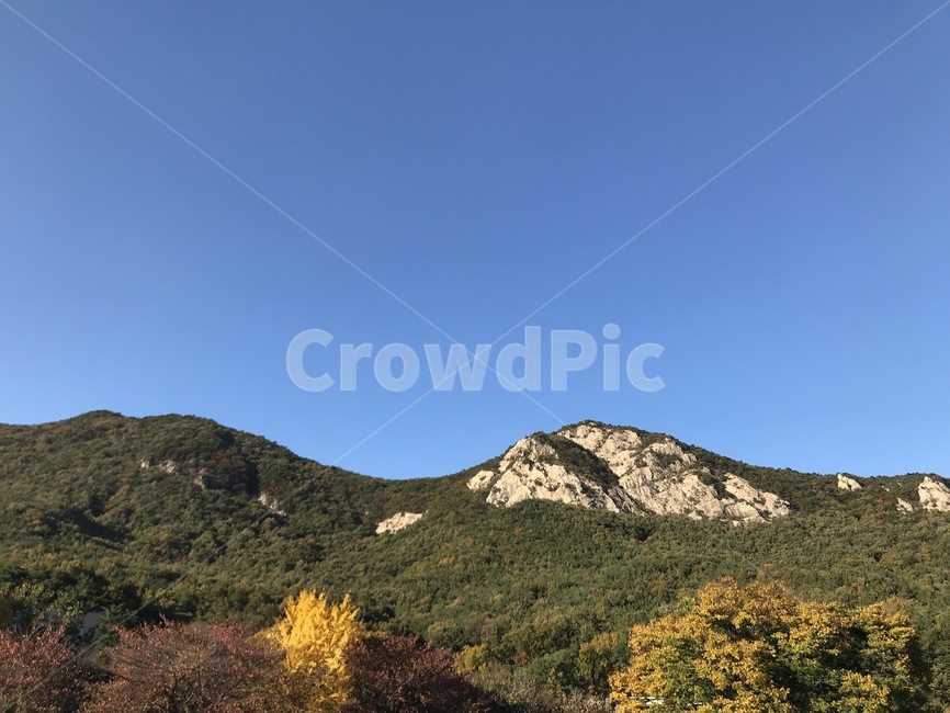 계룡산,계룡산정상,가을산,단풍산,산꼭대기,가을,계절,fall,autumn,season,자연,풍경,nature,landscape,outdoors,옥외