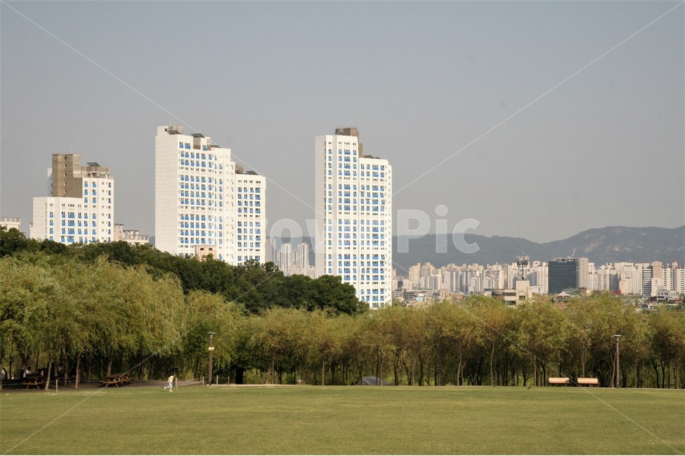 북서울,꿈의숲,공원,전망,아파트,나무,도시,풍경,city,landscape,한국도시풍경,한국도시경관,korea cityscape,grass,잔디,plant,식물,lawn