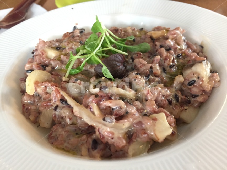 음식,비건,리조또,버섯,요리,식사,레스토랑,흑미,밥,치즈