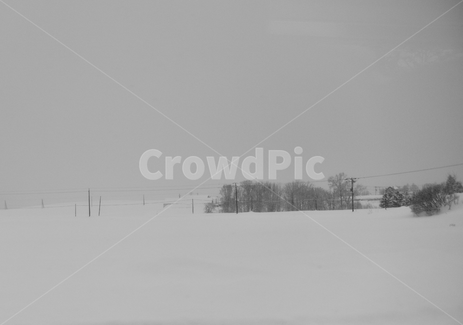 삿포로,겨울,눈,경치,설경,일본,호카이도,겨울,계절,winter,season,자연,풍경,nature,landscape,흑백,모노톤,monochrome,black and white,outdoors,옥외,snow,blizzard,눈보라,storm,폭풍