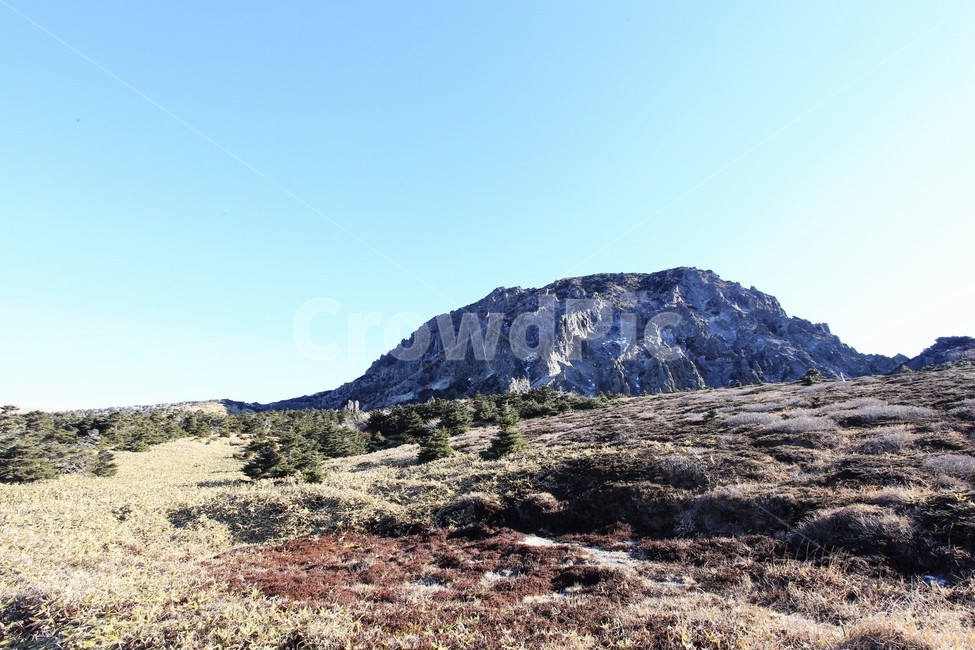 한라산,제주도,산,상고대,눈,눈꽃,겨울,snow,winter,나무,tree,백록담,자연,풍경,nature,landscape,outdoors,옥외