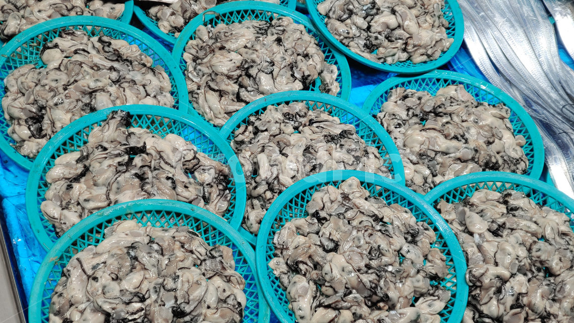 해산물,수산물,어업,굴,산업,어류,건강식품,정력제,싱싱한,신선한,oyster,이매패류,연체동물,동물,식용,먹거리,식재료,푸드,food,어시장,수산시장,좌판,어패류,양식굴,식자재,우리것,요리재료,바다의우유,바다생물,깐굴,생선가게,음식,식재료,요리,food,cook,meal,dishes,food reserves