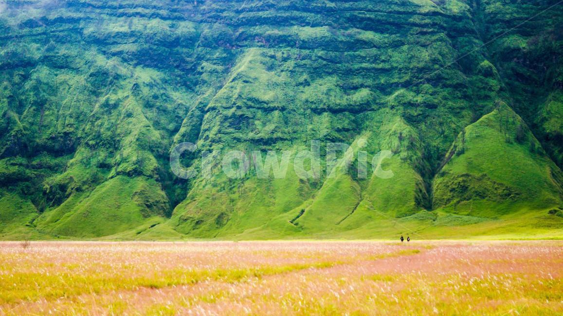 nature,자연,outdoors,풍경,경사,자연,풍경,nature,landscape