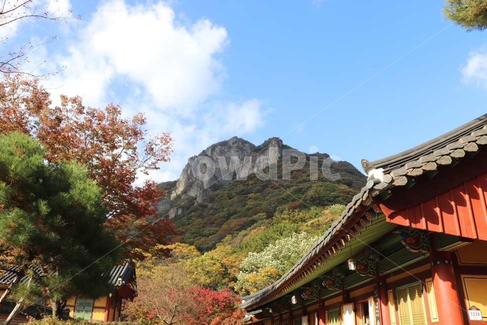 가을,산,사찰,절,가을하늘