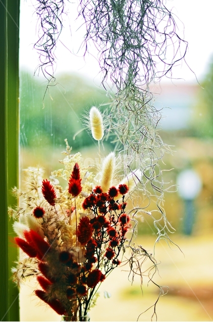 소품,꽃,인테리어,아웃포커싱,장식,꽃,flower,실내용화초,화분,화초,house plant,인테리어,실내디자인,interior design
