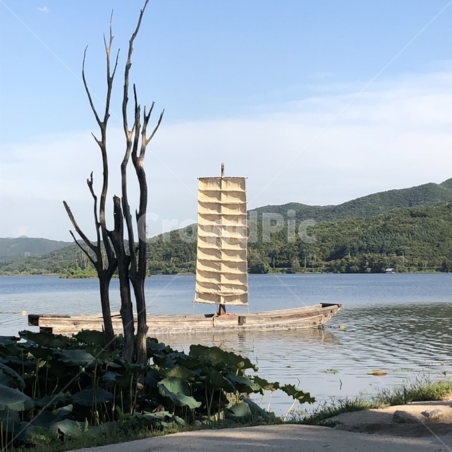 나룻배,배,강,자연,nature,river,자연,풍경,nature,landscape,watercraft,선박,vehicle,차량,transportation,교통,outdoors,옥외