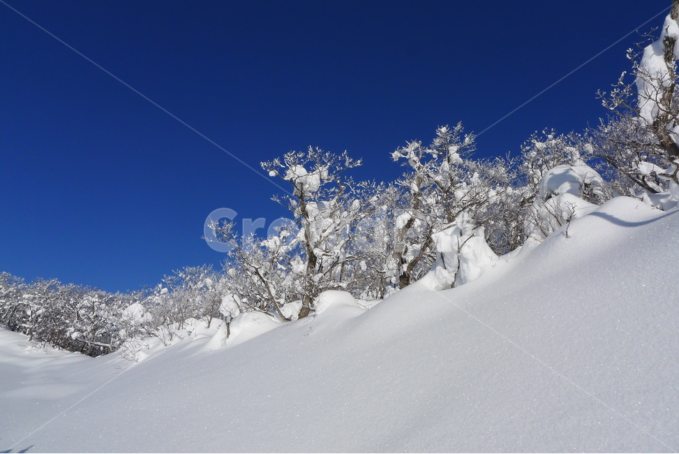 대관령,선자령,설경,겨울,햇빛,겨울,계절,winter,season,자연,풍경,nature,landscape,outdoors,옥외,snow,눈