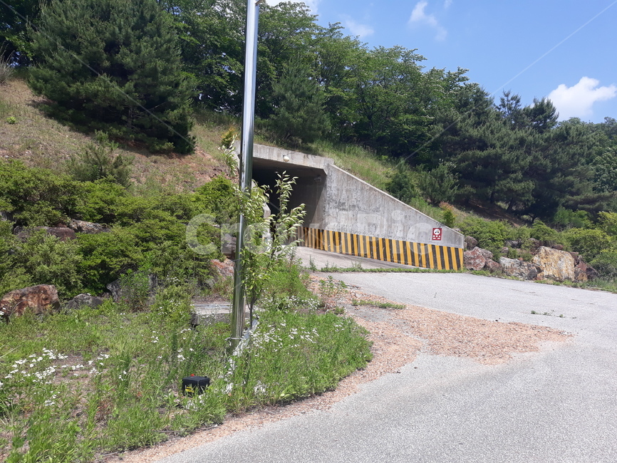 road,도로,터널,tunnel,forest,숲,자연,nature,sky,하늘