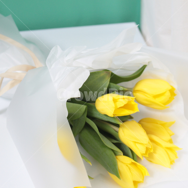 꽃다발,노랑튤립,flower,blossom,flowerbouquet,plant,식물,꽃부케,flowerarrangement,꽃,flower