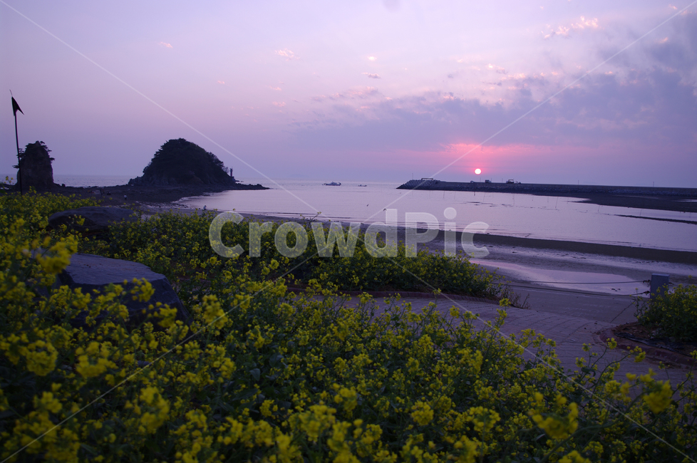 하늘,석양,노을,일몰,구름,빛,풍경,바다,sunset,안면도,꽃지해변,자연,풍경,nature,landscape,outdoors,옥외,land,땅
