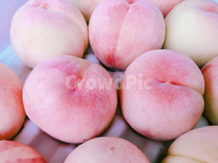 복숭아,과일,핑크,peach,pink,계절,여름,fruit,여름과일,달콤한,청량한,예쁜