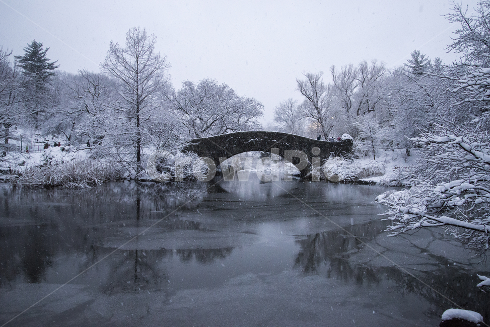 nature,자연,outdoors,옥외,눈,겨울,뉴욕,다리,공원,호수,서리,나무,bridge,central,park,newyork,lake,usa,snow,winter,frost,reflection,겨울,계절,winter,season