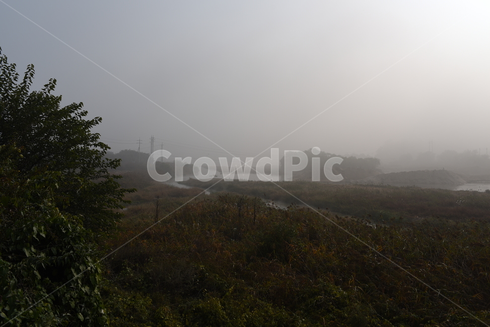 자연,nature,weather,날씨,mist,안개,fog,풍경,가을,자연,풍경,nature,landscape