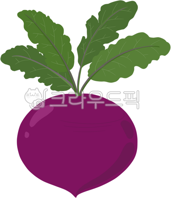 beet,root vegetable,vegetable,vegetable,health,health ingredients,food,food,beet,red radish