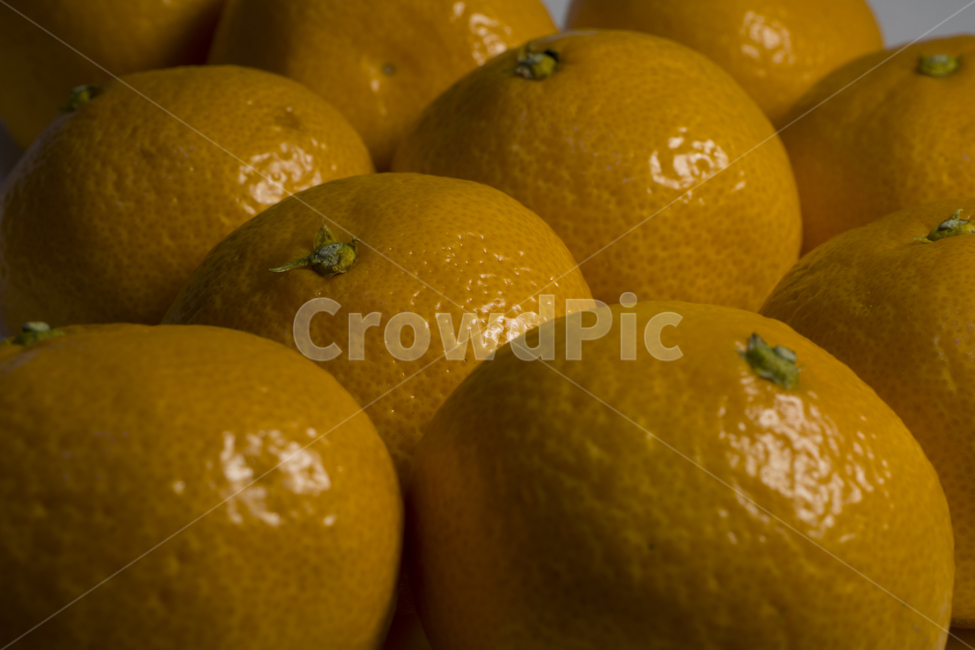귤,비타민,과일,식물,감귤류과일,음식,주황색,orange,food,plant,citrusfruit,fruit,상큼,신,오렌지,음식,식재료,요리,food,cook,meal,dishes,food reserves,과일,열매,fruit