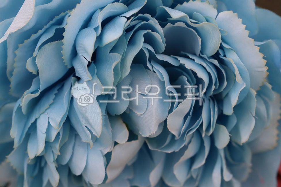 꽃,장미,가짜꽃,파란장미,가짜파란장미,슬픔,꽃잎,fakeflower,fake