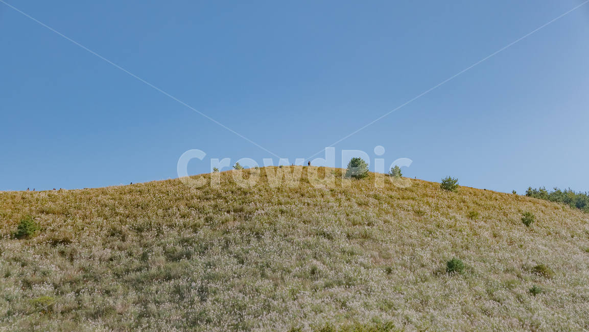 용눈이,용눈이오름,오름,orum,jeju,제주,제주도,제주오름,가을제주,가을,풍경,landscape,grassland,목초지,field,옥외,outdoors,들,nature,자연,자연,풍경,nature,landscape