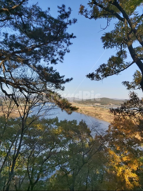 강,산,금강,백마강,부소산,나무