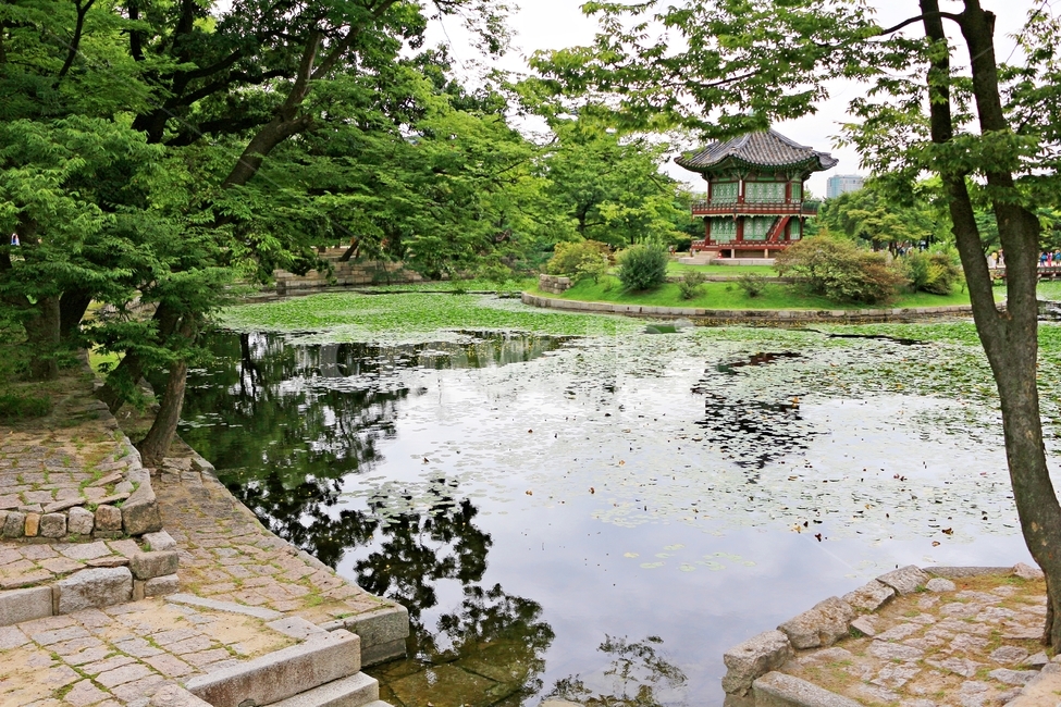 경복궁,향원정,정원,전통,궁궐,궁,나무,여름,푸르름,palace,landmark,감성,traditional,지붕,풍경,summer,향원정뒷편,뒤뜰,반영사진,고궁,여름,계절,summer,season,한국전통,한국문화,korean traditional,korean culture,랜드마크,landmark,tourist attraction,한국랜드마크,한국관광지,한국명소,korea landmark,korea tourist attraction,outdoors,옥외,nature,자연,water,물