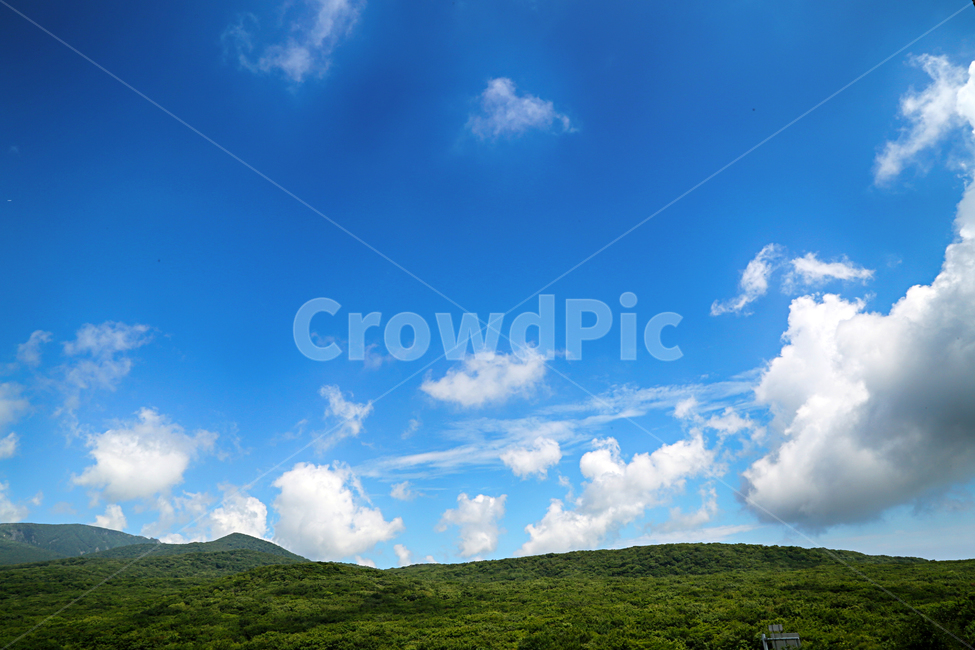 제주도,한라산,1100고지,한라산풍경,1100고지풍경,산,nature,자연,옥외,outdoors,자연,풍경,nature,landscape