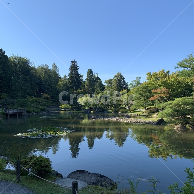 자연,seattle,japanesegarden,washington,시애틀
