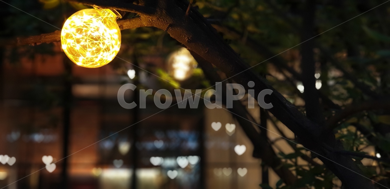 조명,저녁,불빛,전구,보케,야경,밤,풍경,nightscape,night,landscape