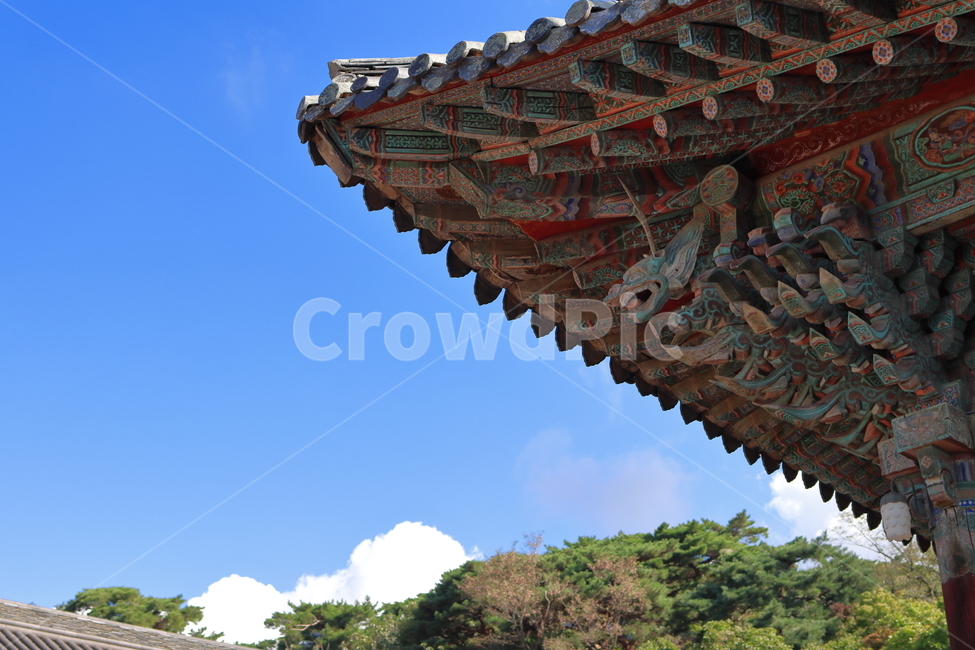 처마,절,기와,용,불교,전통,조각,단청,건물,건축물,building,architecture,temple,신전,목룡,하늘