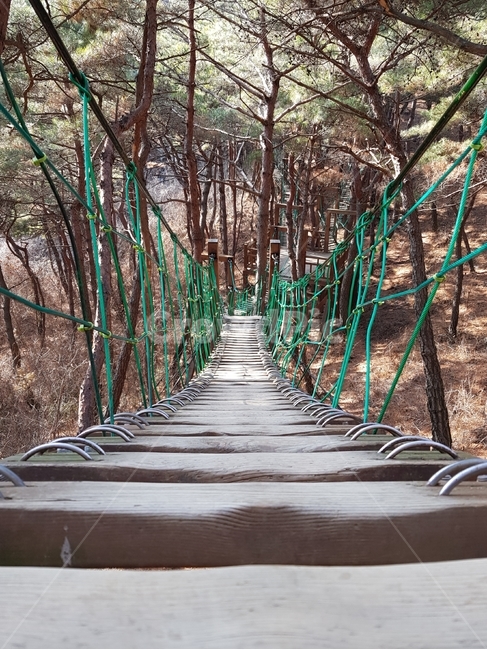 흔들다리,다리,일방통행,연결다리,숲속