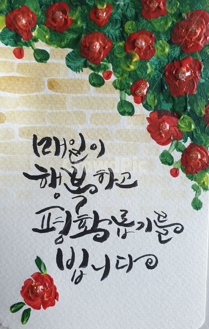 text,본문,엽서캘리그라피,장미,장미그림