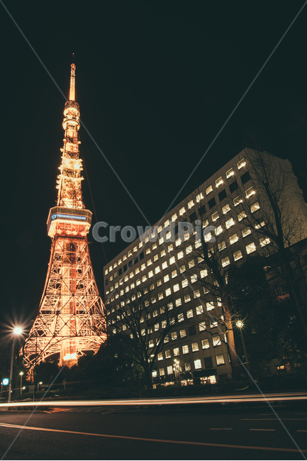 도쿄,도쿄타워,랜드마크,일본,야경,tokyo,japan,nightscape,야경,밤,풍경,nightscape,night,landscape,랜드마크,landmark,tourist attraction,해외,외국,세계,foreign,oversea,world,세계랜드마크,해외랜드마크,외국랜드마크,world landmark,world tourist attraction,감성,sensible,feeling,건축물,건물외관,exterior,building,structure,architecture,construction,steeple,뾰족한 탑,건물,tower,탑,spire,첨탑,city,시티,urban,어반,town,도시,metropolis,중심지,downtown,도심